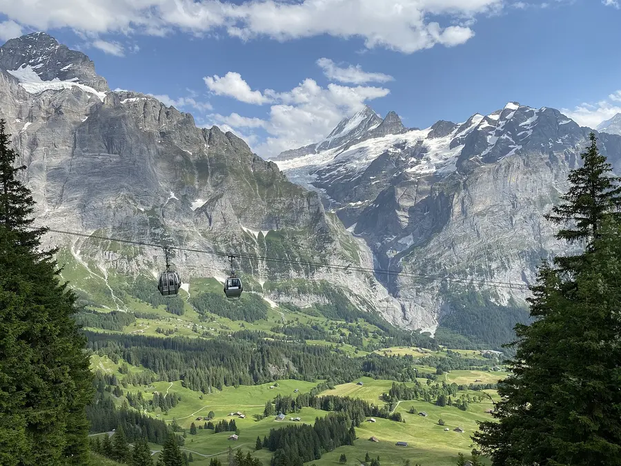 Summer meadows and cable cars above Grindelwald with the Wetterhorn behind